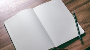 Verb Definition and Examples