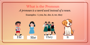 What is the Pronoun